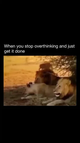 Just say never mind ....... – Image