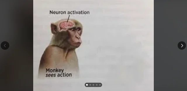How to trick a Monkey – Image