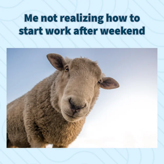 afterWeekendVibe – Image