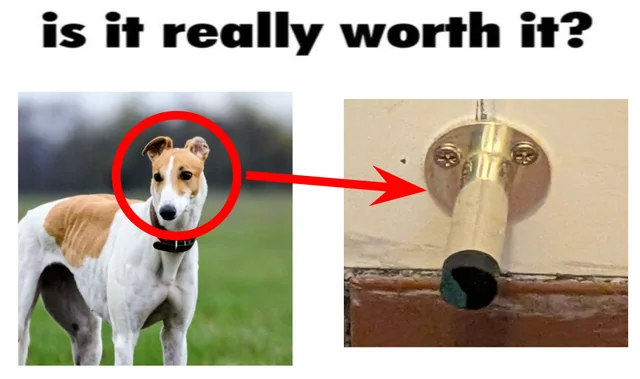Is it really worth it? #1 – Image