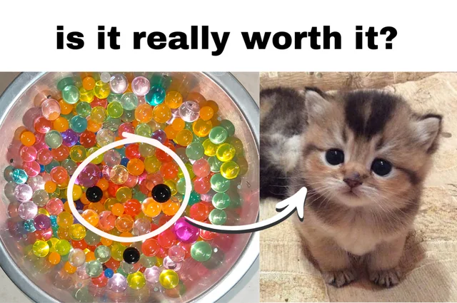 Animal Cruelty Runs amuck 💔 – Image