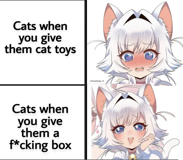 It’s always that damm box… #1 – Image