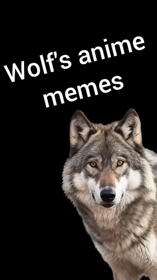 Wolf memes – Image