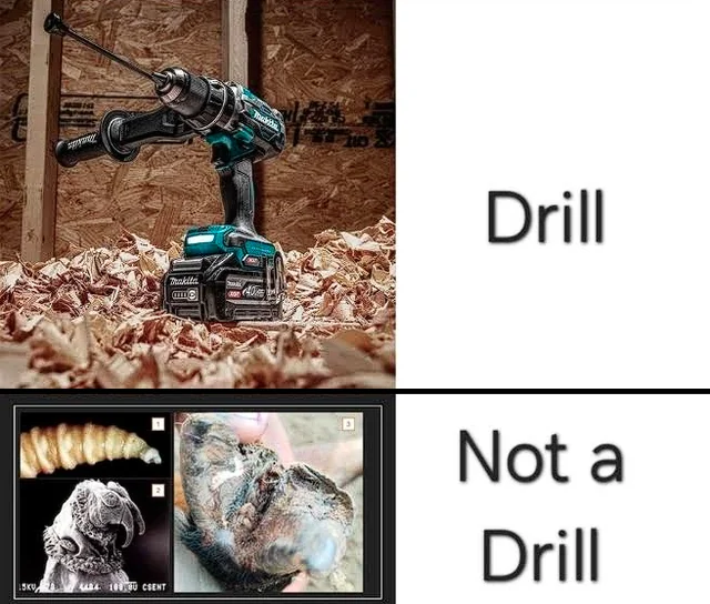This is not a drill. – Image