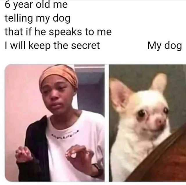 Nobody would believe you anyway… dog, probably. – Image