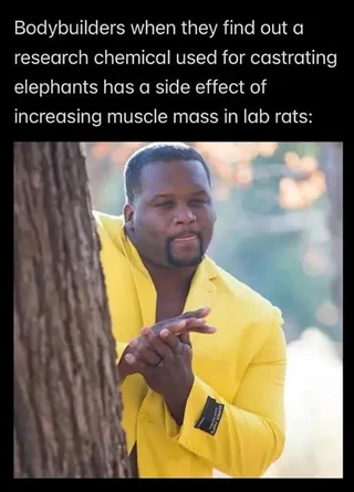 Side effects may include death but bro look at my traps #1 – Image