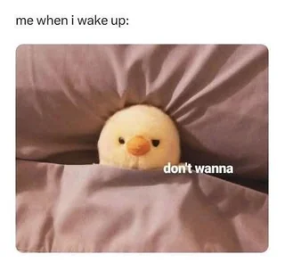 Seriously let me go back to sleep. #1 – Image
