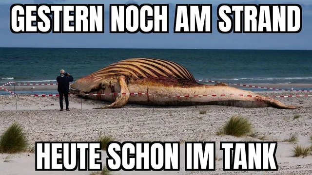Ich fahre mit Hoffnung im Tank #1 – Image