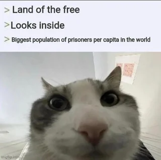 Really makes you go hmmm – Image