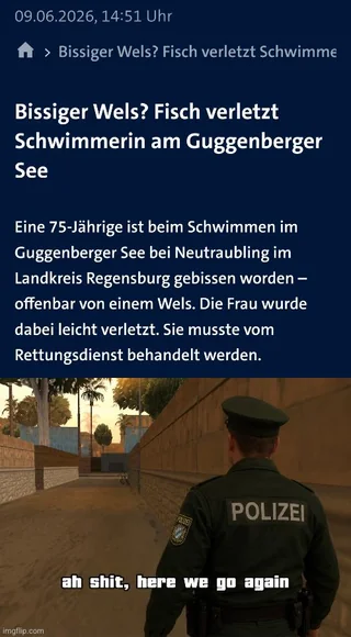 Nicht schon wieder – Image