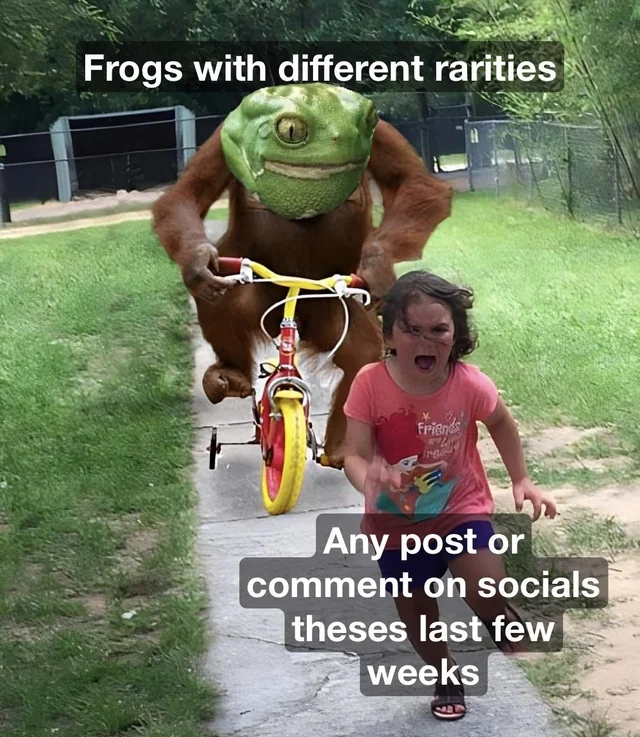 The unescapable frog #1 – Image