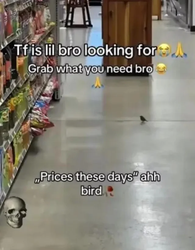 Lil bro.... #1 – Image