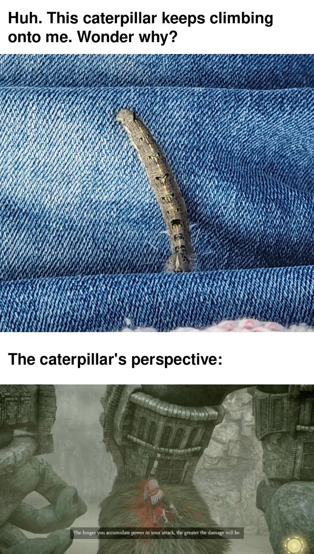 But really, does anyone know why it did this? #1 – Image