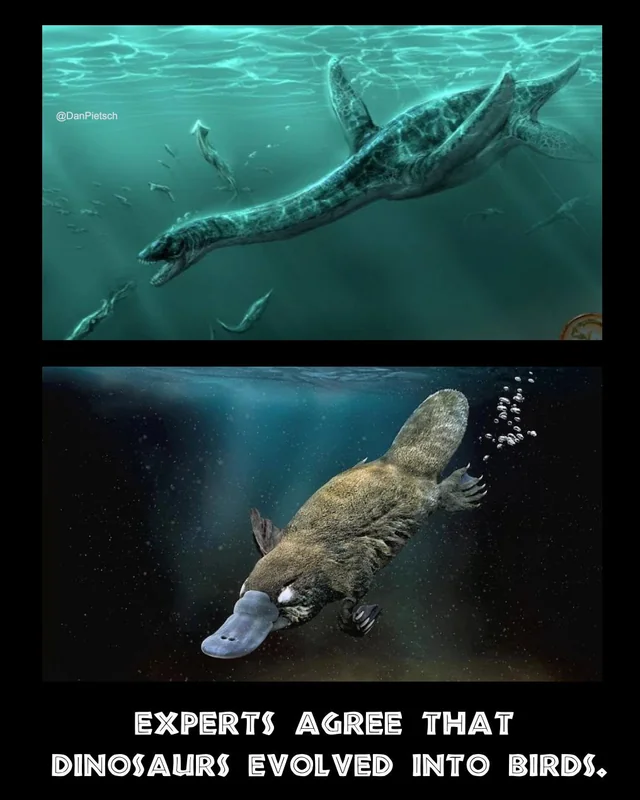 This information fills my detractors with rage. #1 – Image