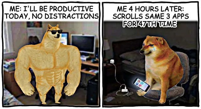 Expectation vs. Reality #1 – Image
