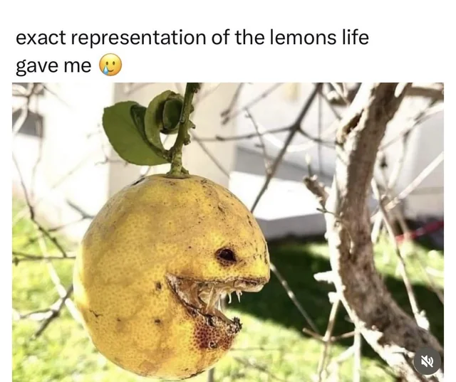 Who wants lemonade? #1 – Image