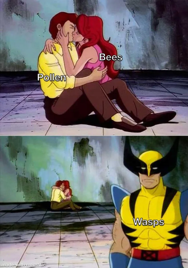 Bees and pollen are like peanut butter and jelly #1 – Image