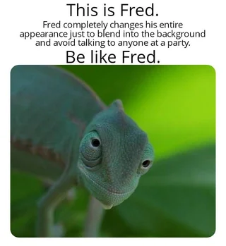 Be like Fred. 👍🏻 #1 – Image