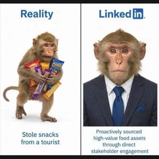 Reality behind the Resume #1 – Image