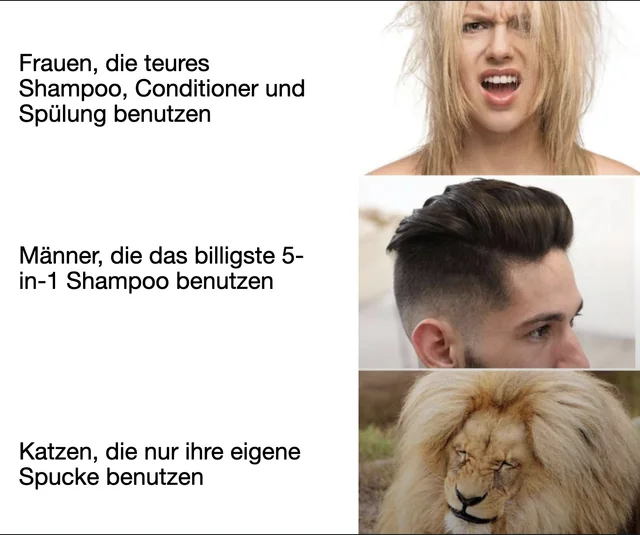 Das Leben ist ungerecht – Image