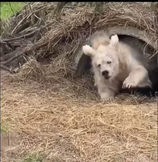 Me leaving my room after watching 4 consecutive World Cup matches: #1 – Image
