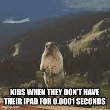 Why do parents allow it when it’s clearly such a bad idea? – Image