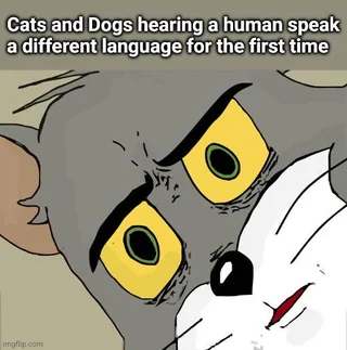 What kinda gibberish was that? #1 – Image