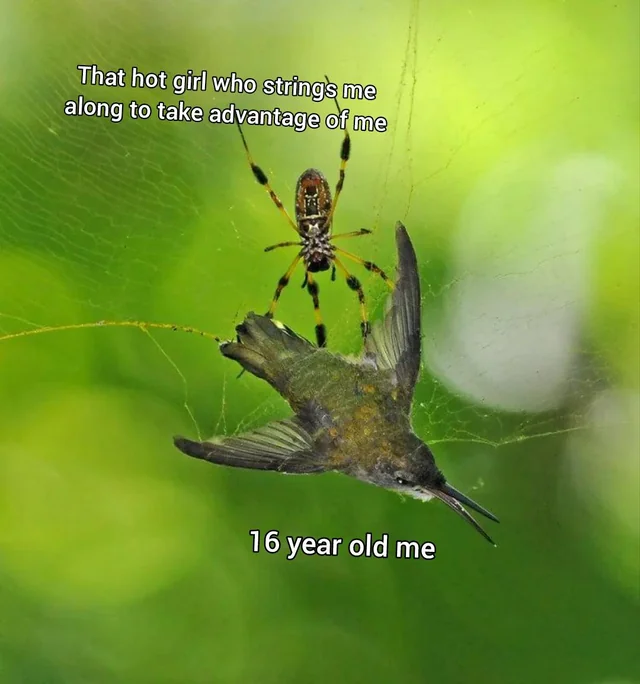 Now I'm an adult I don't fall for this... that often #1 – Image