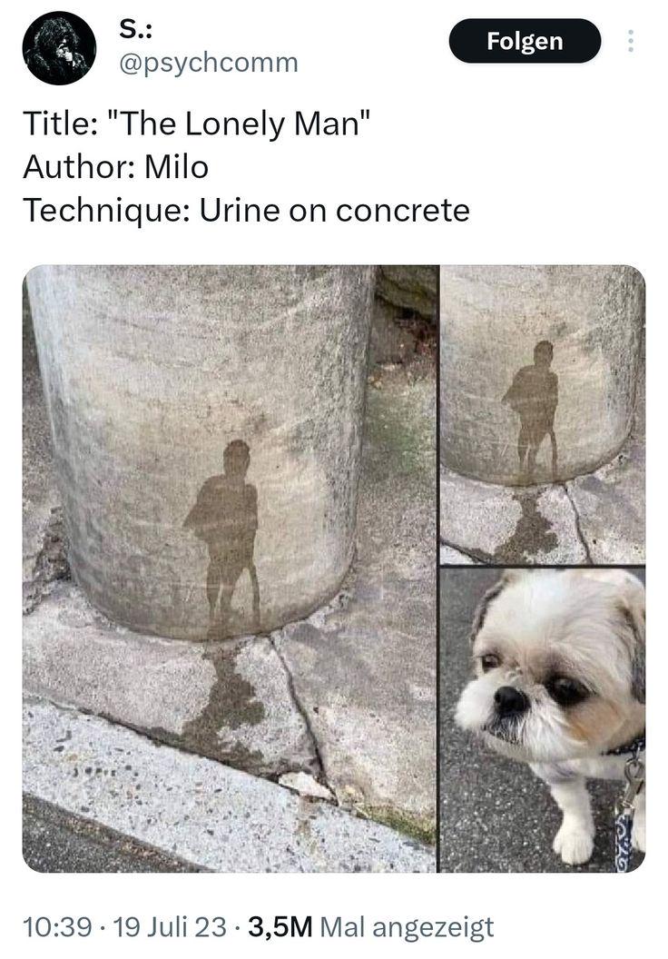 A dog with a talent. #1 – Image