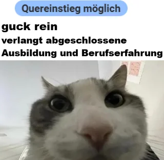 Quereinstieg arbeit #1 – Image