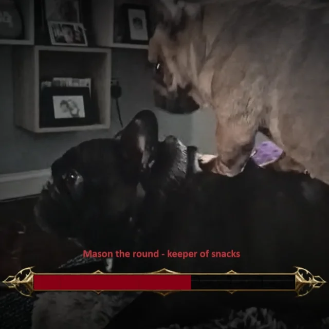 Newest family member battles the snack boss! – Image
