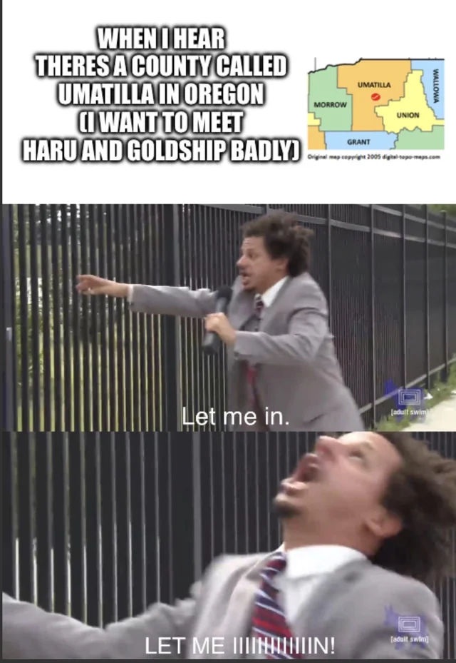 I Will Find The Horse Girls – Image