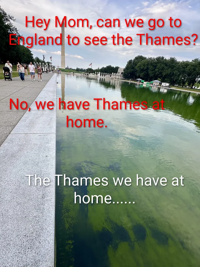 We have Thames at home ... – Image