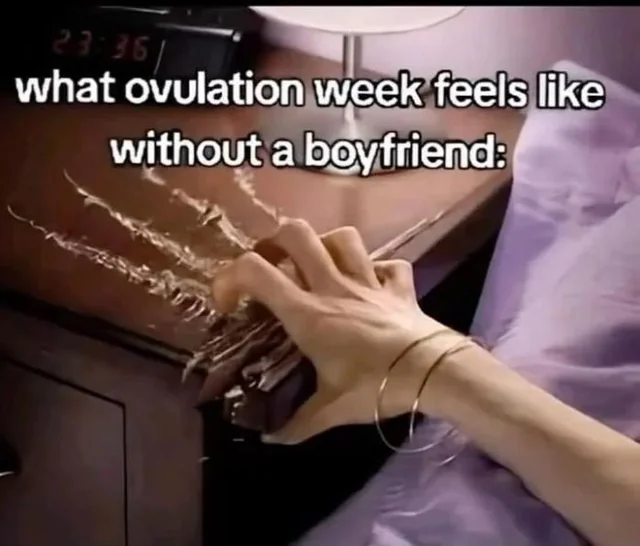Your girl is in ovulation phase without a boyfriend 😭 – Image