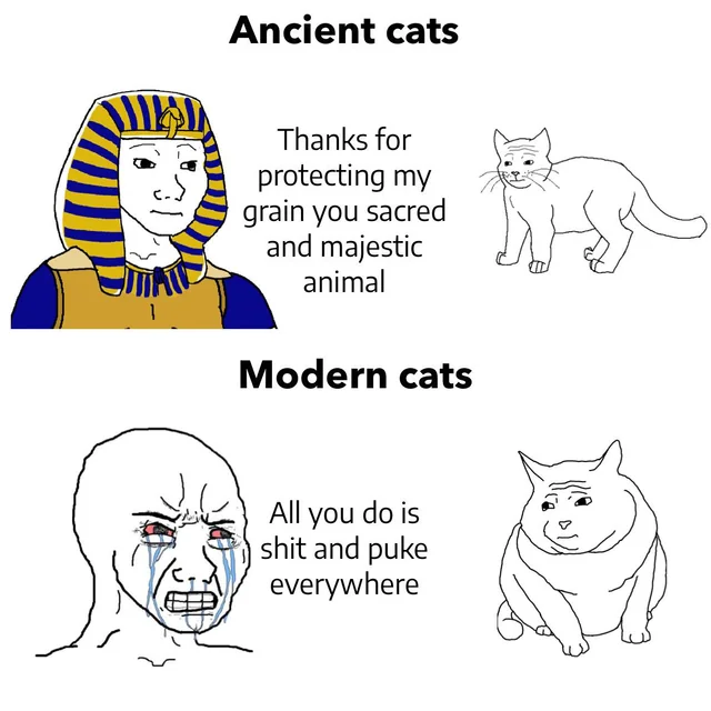 Cats are awesome #1 – Image
