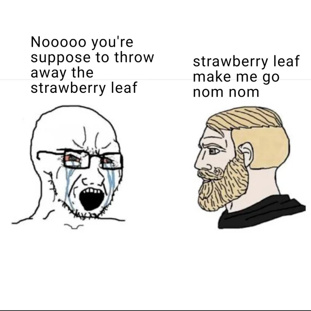 Strawberry leaf – Image