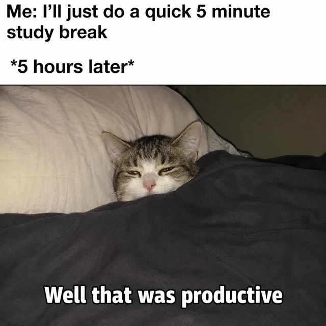 The "quick break" trap that ruins all my plans – Image
