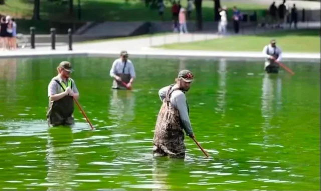 American Workers Harvest Brawndo - circa June 2026 – Image