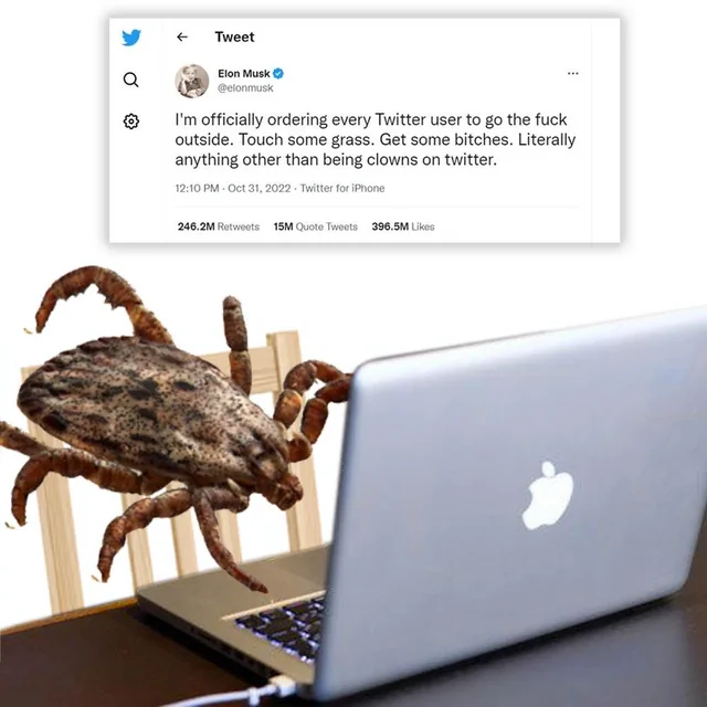 The world's biggest parasite. #1 – Image