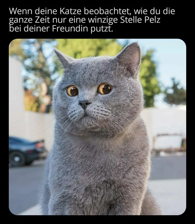 so wird das nie was #1 – Image