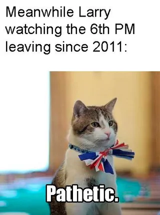 Larry 6 : UK PMs 0 #1 – Image