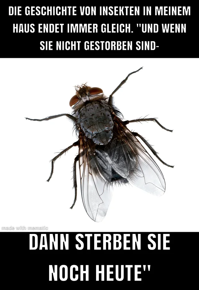 Immer die selbe Leier im Sommer #1 – Image