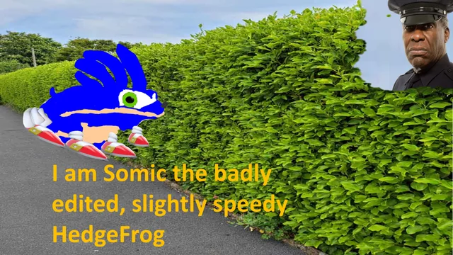 Roses are red. I live on a log. – Image