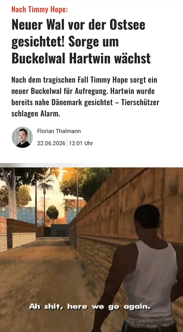 ihm blieb einfach keine Wal – Image