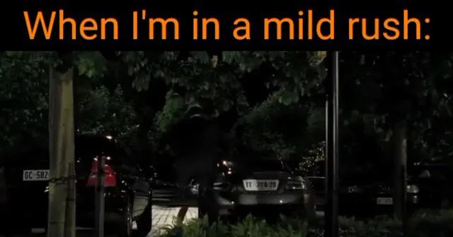 This happens every time when I have an ice sculpture to deliver. #1 – Image