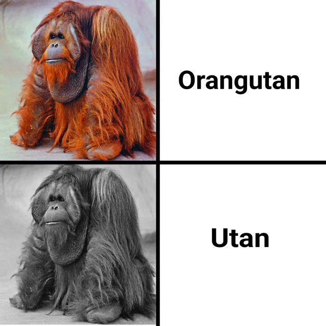 He's no longer orang🥀😭 #1 – Image