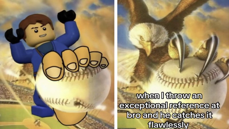 Eagle Catching Baseball / How Fast I Caught That Reference Meme Explained #1 – Image