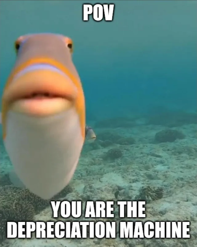 This is very niche, but I've decided to share it with the world nonetheless – Image