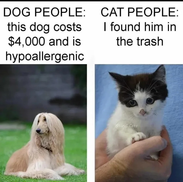 Cat distribution System. – Image