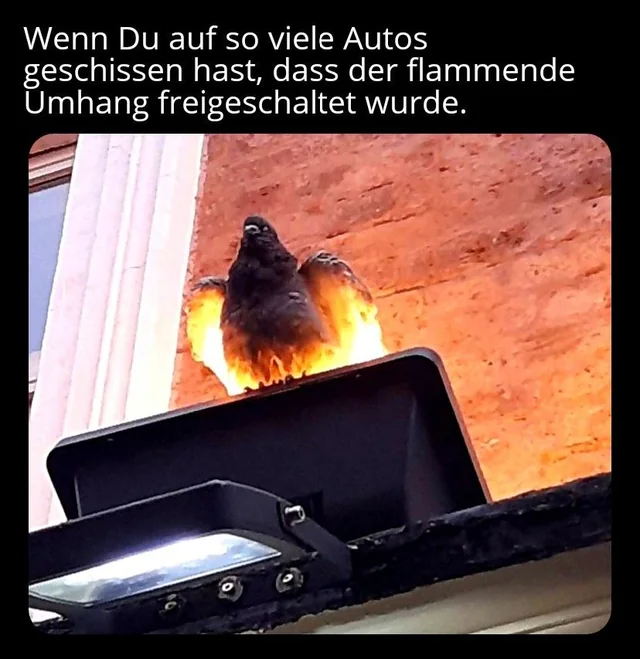 bestimmt stolz drauf – Image